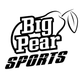 Big Pear Sports Logo Transparent.png