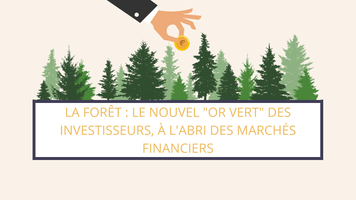 La forêt : le nouvel or vert des investisseurs