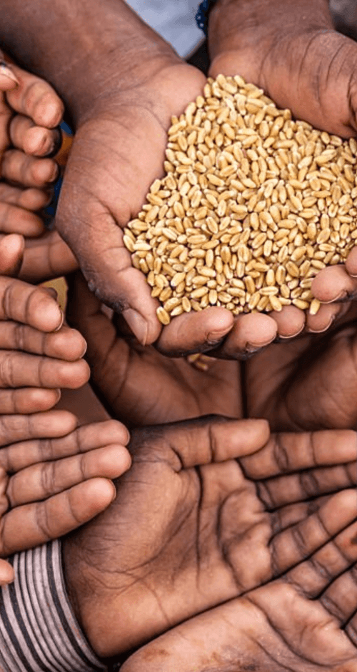 Capture d’écran 2025-07-09 à 13.56.55.png