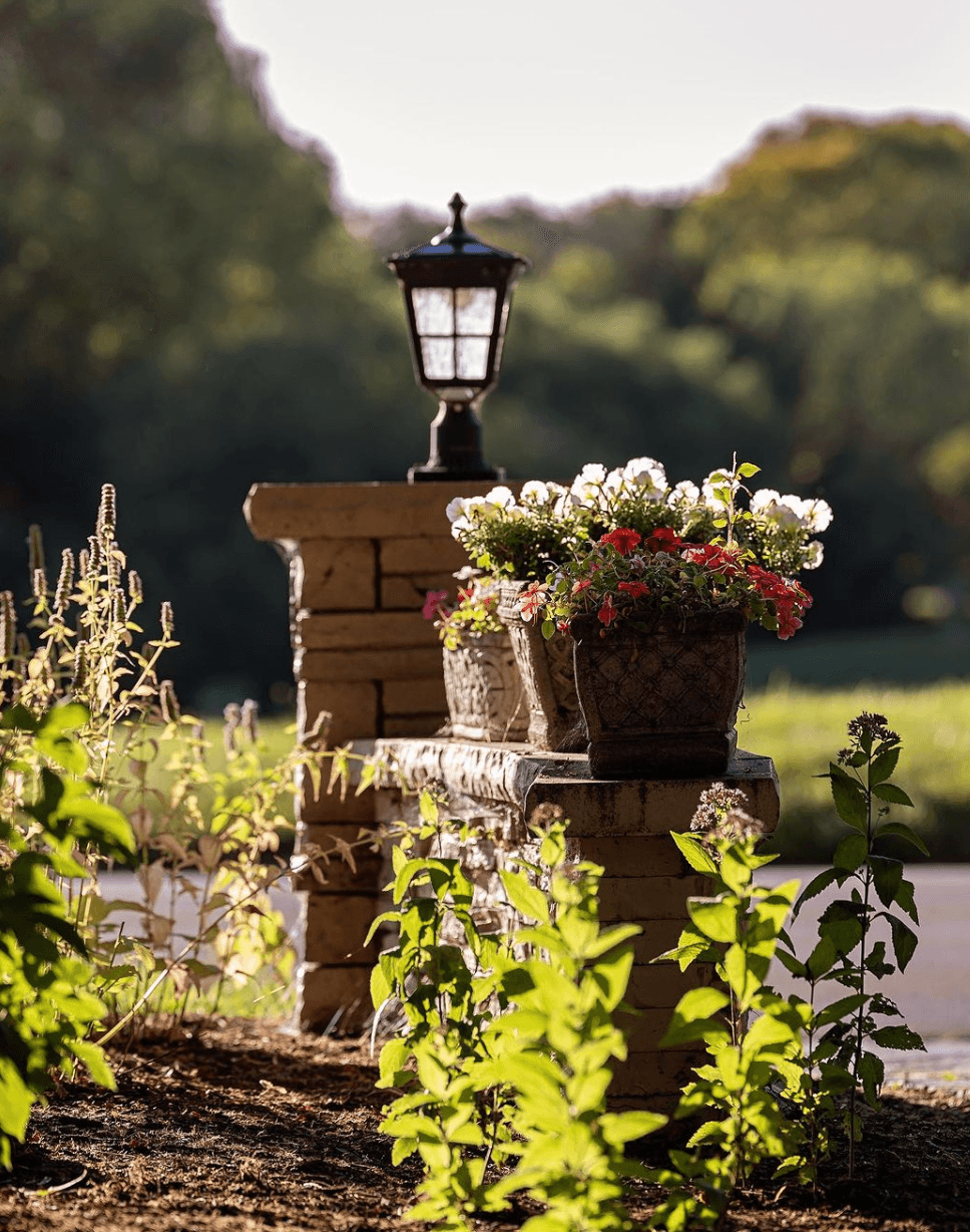 Screen Shot 2024-01-25 at 3.58.04 PM.png