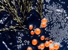 Screenshot 2025-12-18 at 11.43.45 AM.png