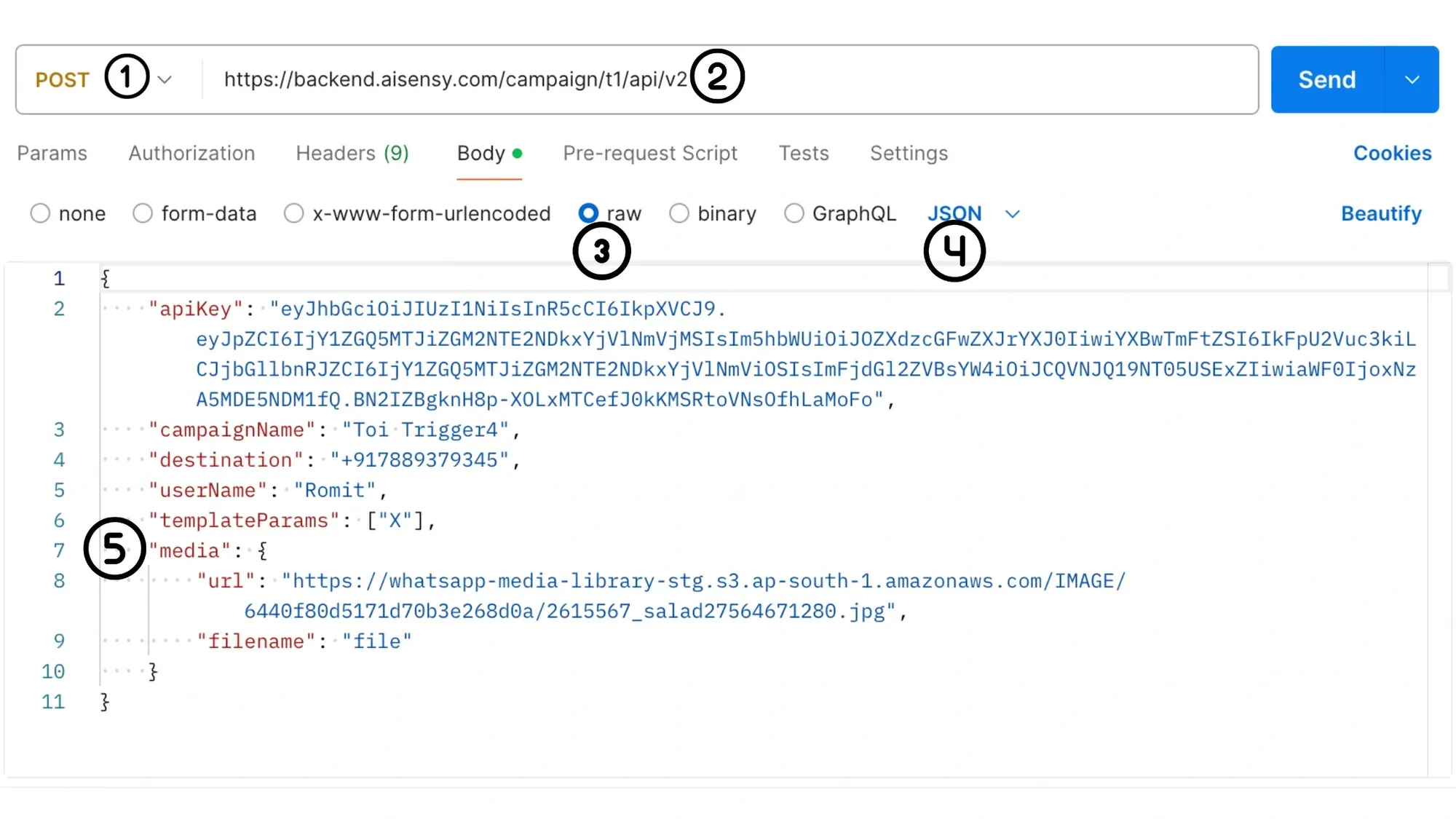 Example Postman Request.webp