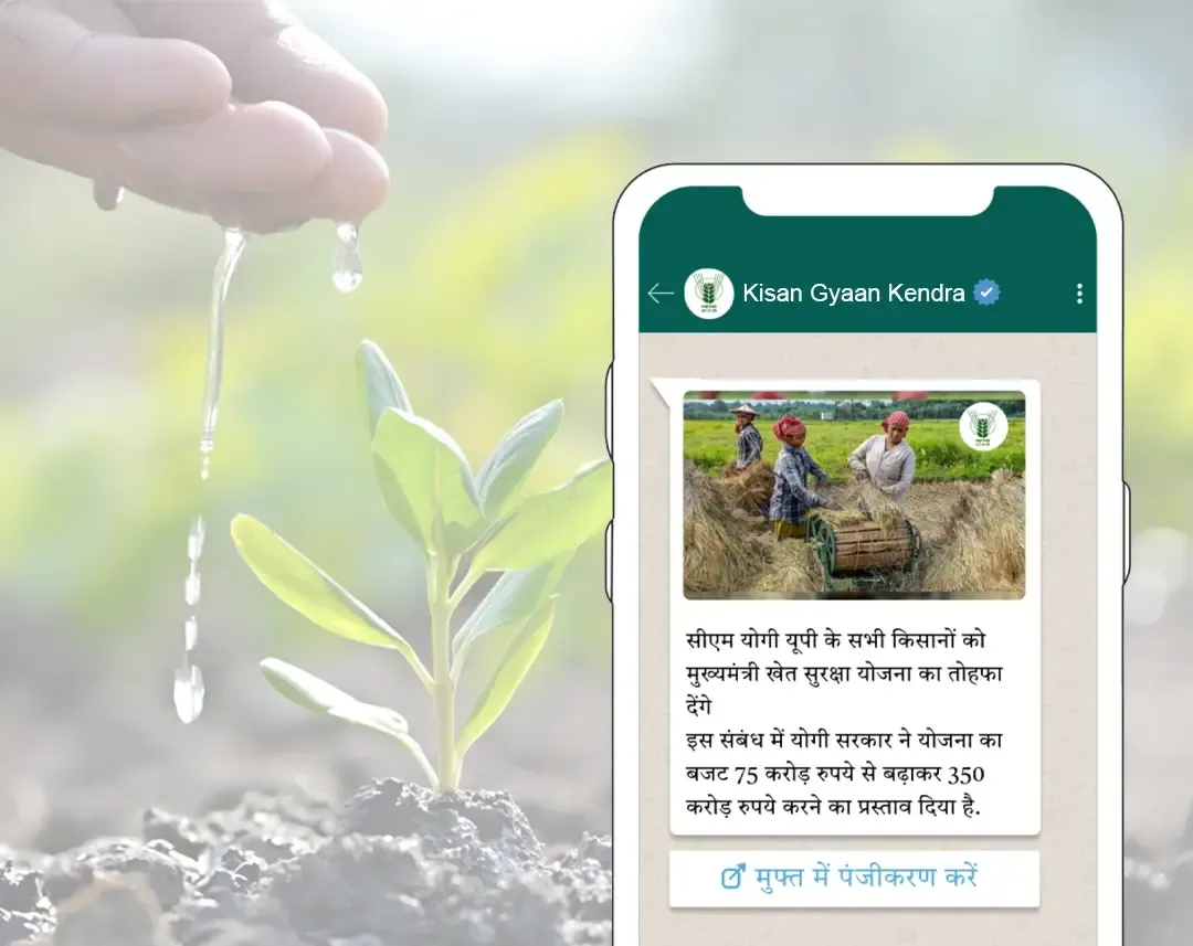 Agriculture Usecase WhatsApp API for government.webp