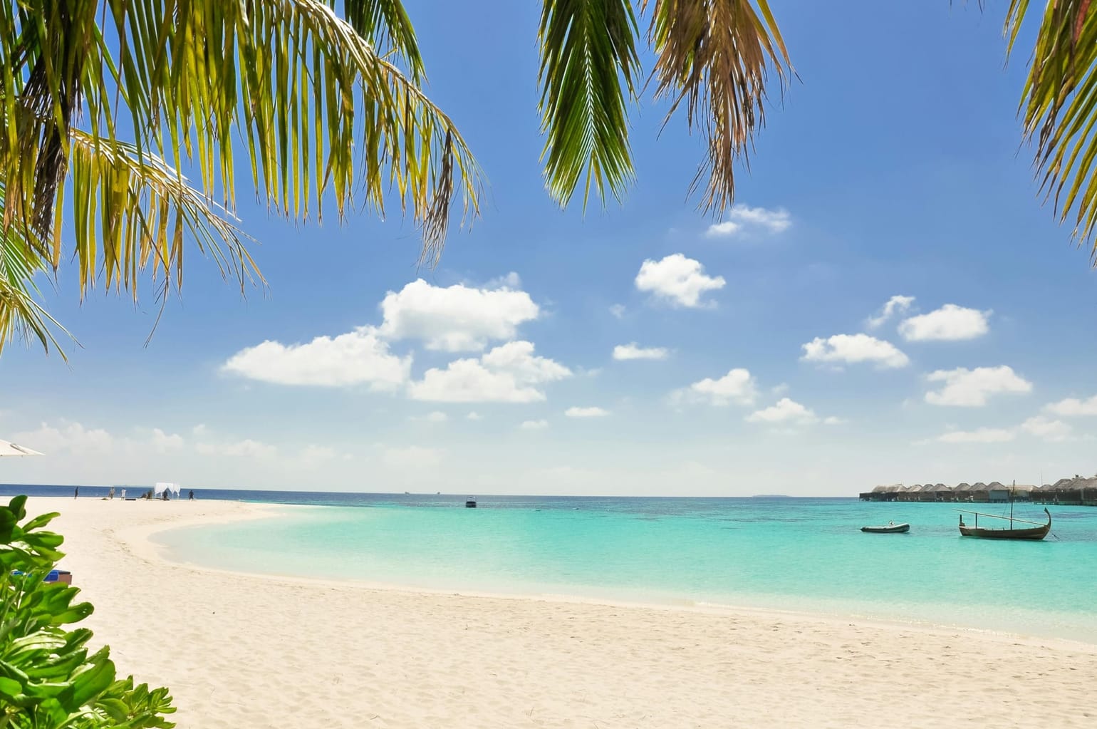 Maldives and Seychelles