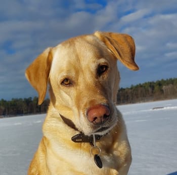 Tagespflege Sonnenkäfer (16).jpg