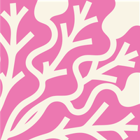 LCB-Icones02 copy.png