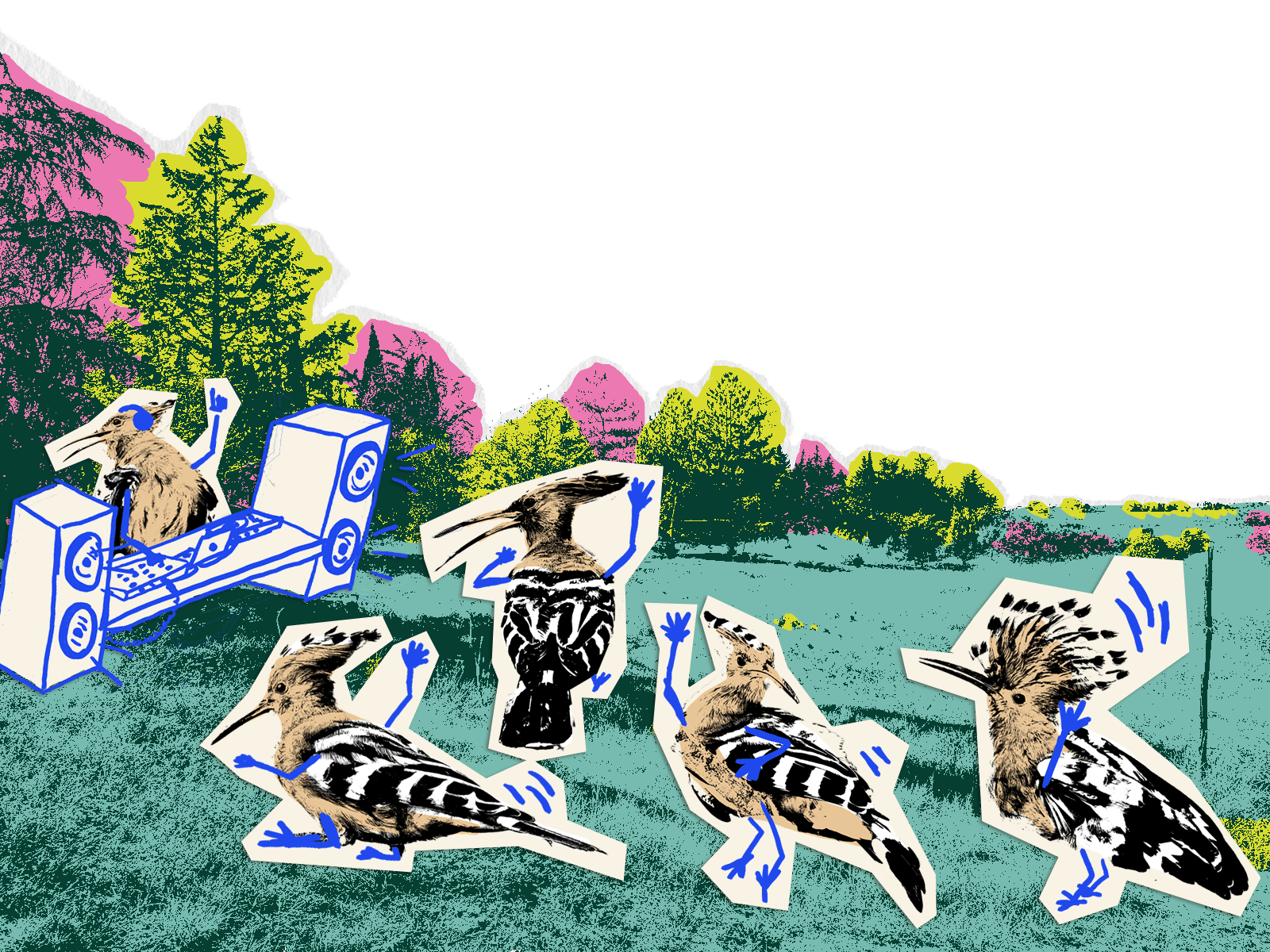 teuf des huppettesv2.png