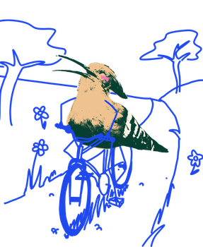velo.png