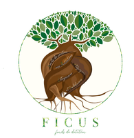 LOGO_FICUS.png