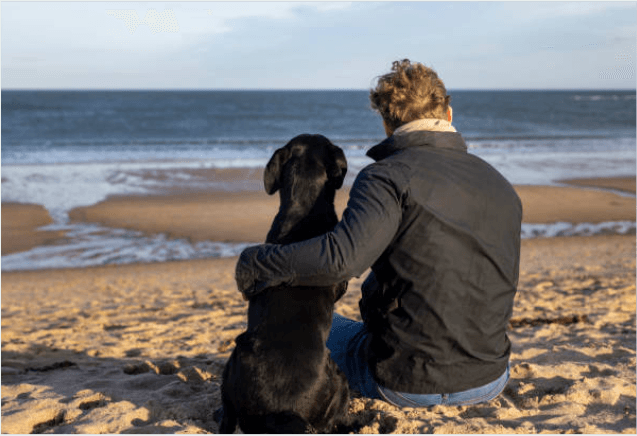 Capture d’écran 2025-04-23 à 10.46.15.png