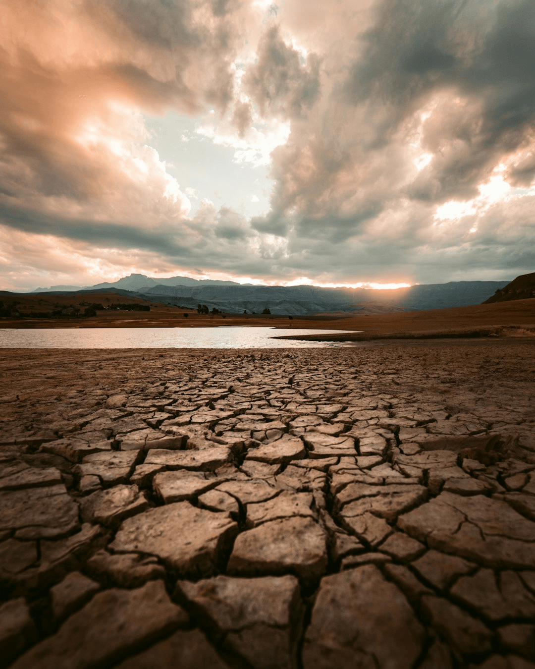 terre craquelée, asséchée par la canicule