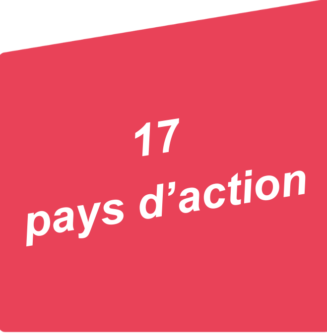 17paysdaction.png
