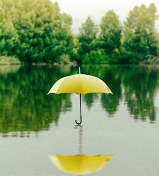 saffu-bmtg7lrCry4-unsplash.jpg