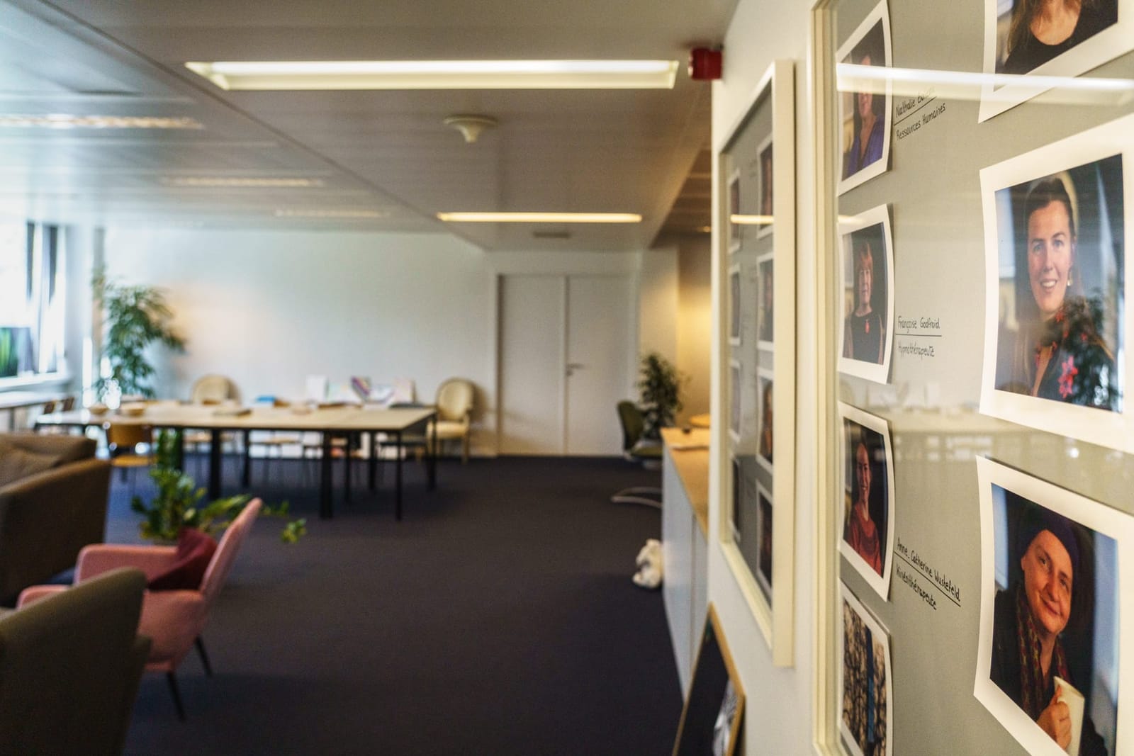 AUX RACINES AMBIANCES-8_04387.jpg