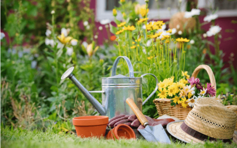 Screenshot 2025-03-05 at 07-47-20 Clean Home Gardening.png