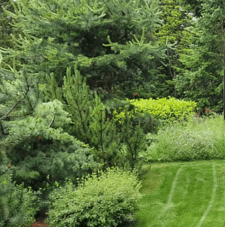 Screenshot 2025-03-06 at 16-37-33 Jardin SA Votre jardin au naturel.png