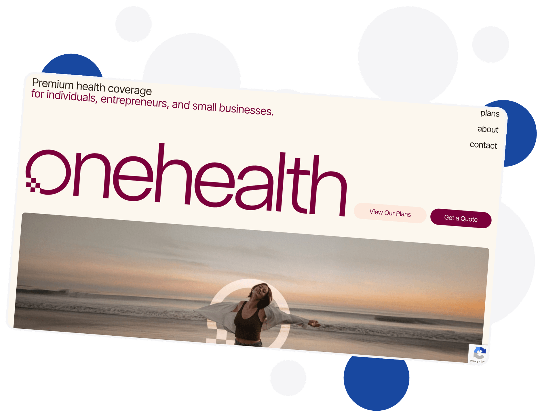 One Health Index.png