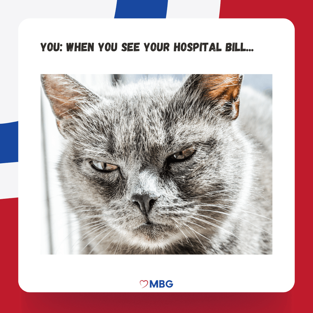 MBG Social 5 Cat.png