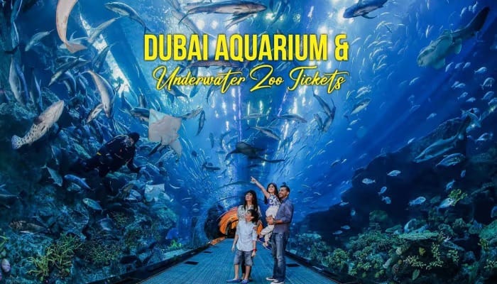 dubai aquarium and underwater zoo.jpg