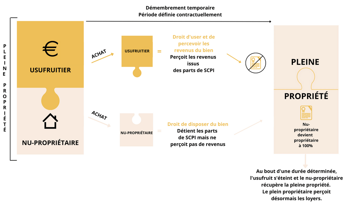 Démembrement nue-propriété