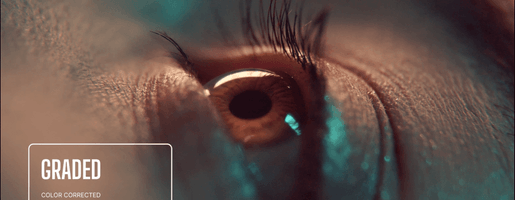 Screenshot 2024-02-05 at 9.18.26 PM.png