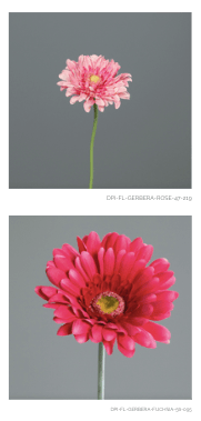 Capture d’écran 2023-04-03 à 09.42.55.png