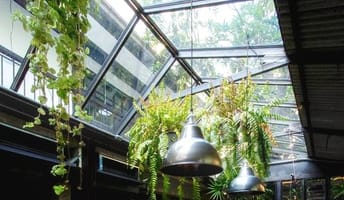 VG-PLAFOND-9 (2) (1) (1).jpg