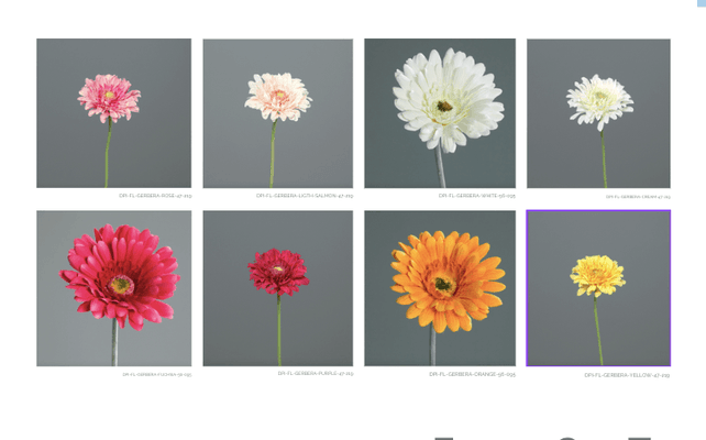 Capture d’écran 2023-04-06 à 10.06.51.png