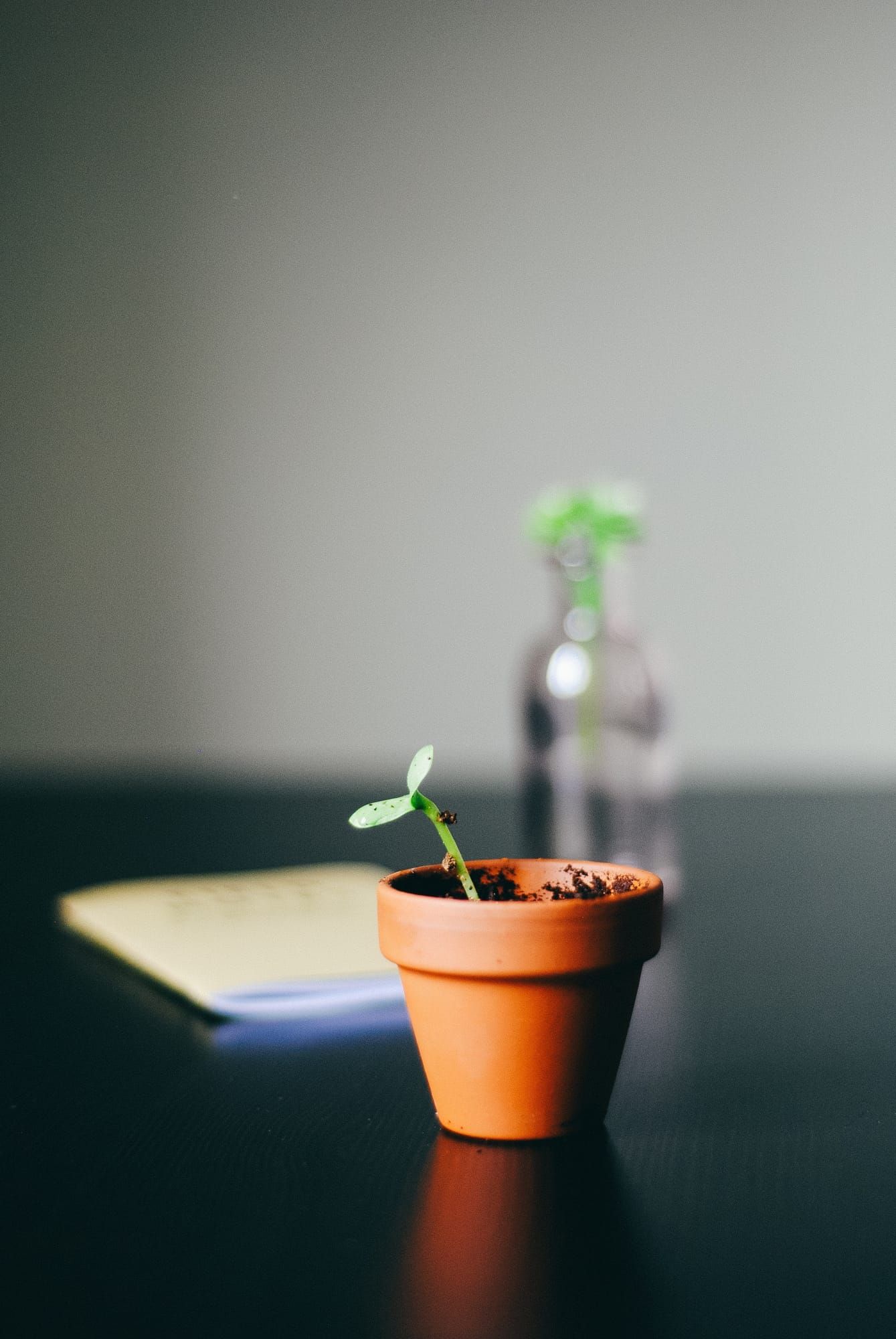 nik-AsRAyHIkOHk-unsplash.jpg