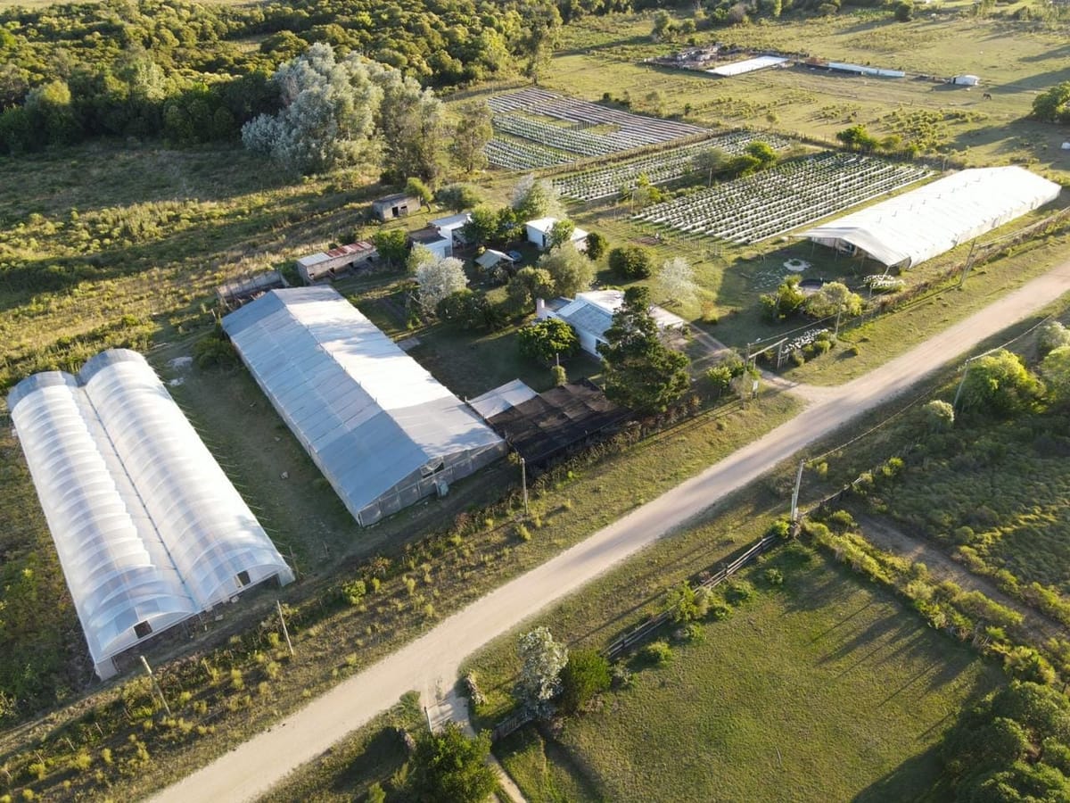 WhatsApp Image 2021-09-02 at 11.08.13.jpeg