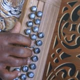 accordéon .jpeg