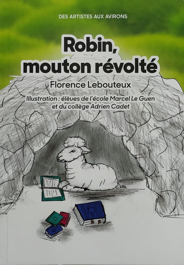 photo couv Robin.jpg