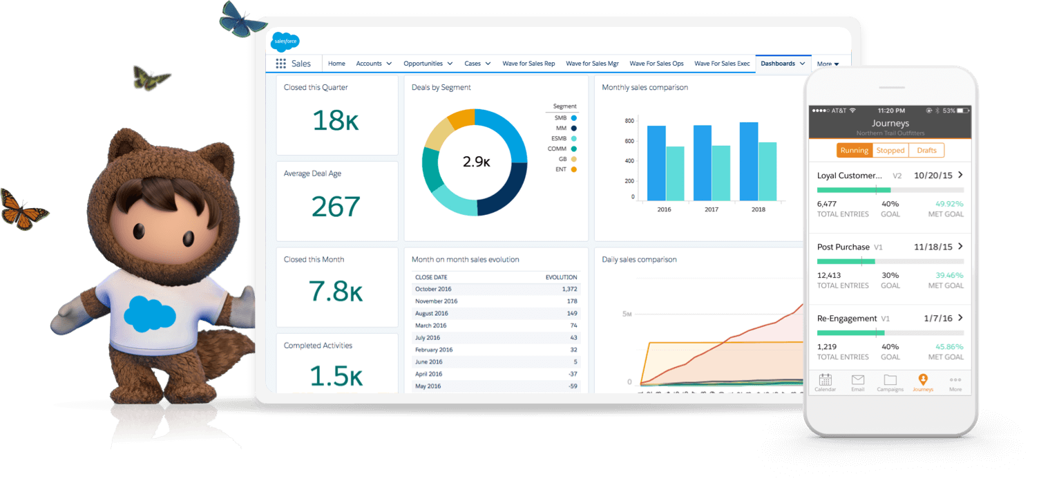 CRM Salesforce 2.png