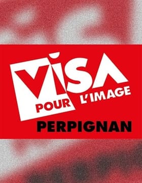 LOGO_VISA-Generique_porttraitALT.jpg