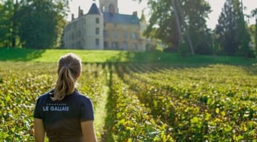Champagne Le Gallais
