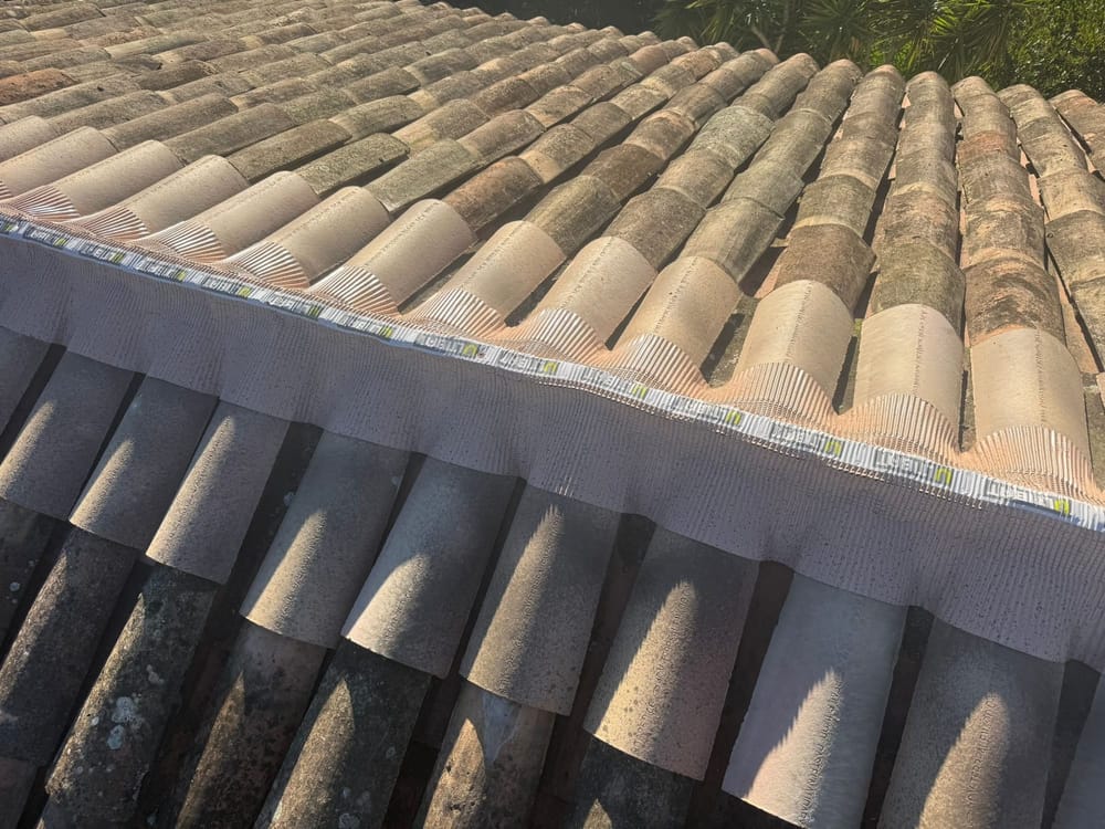 WhatsApp Image 2026-02-07 at 18.51.44.jpeg