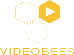 videobees.png