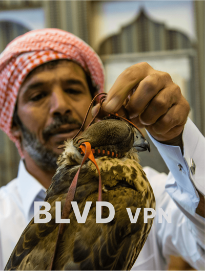 BLVD_x_ad_28.png