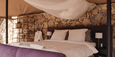 Screen Shot 2023-02-28 at 15.56.01.png