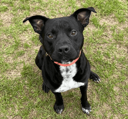 Screenshot 2023-01-10 at 3.23.02 PM.png