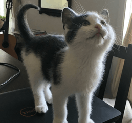 Screenshot 2023-01-10 at 3.24.57 PM.png