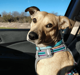 Screenshot 2023-01-10 at 3.25.32 PM.png