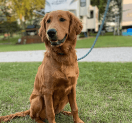 Screenshot 2023-01-10 at 3.23.51 PM.png