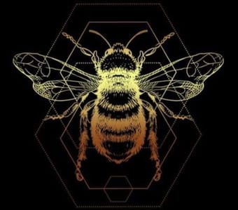 WhatsApp Image 2024-05-20 at 15.50.21.jpeg