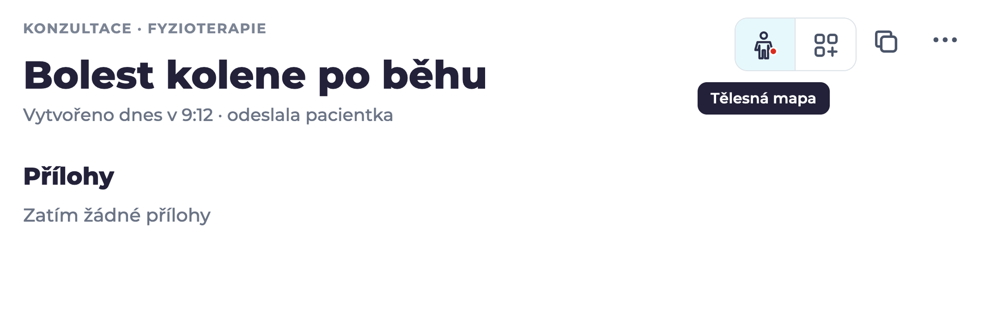 Detail požadavku v Medevio s tlačítkem Tělesná mapa mezi tlačítky Medevio Connect