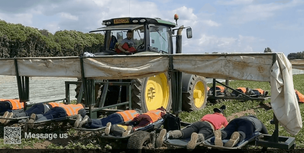 Schermafbeelding 2023-11-15 om 14.05.56.png