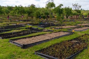 eden-mau-nursery.jpg