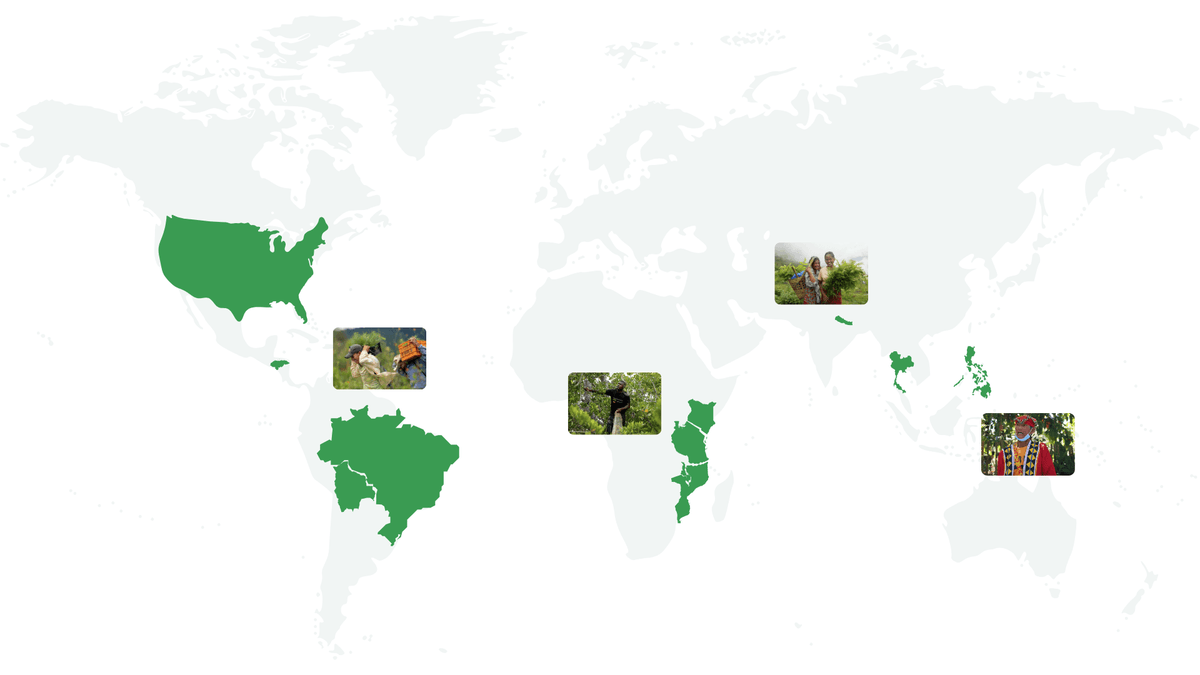 OneSeed planting sites 2025.png