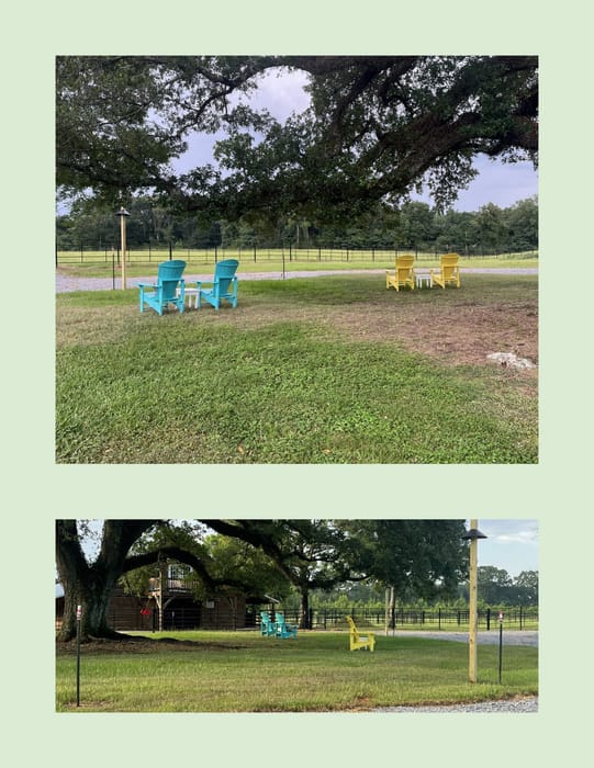 Pics for WMT Website.jpg