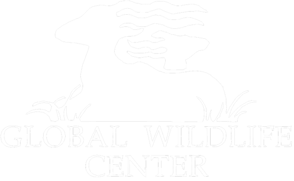 cropped-cropped-global-wildlife-logo_vectorized-1.png